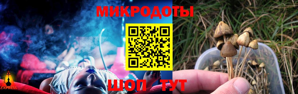 Галлюциногенные грибы GOLDEN TEACHER  Вход с VPN  Ялта 
